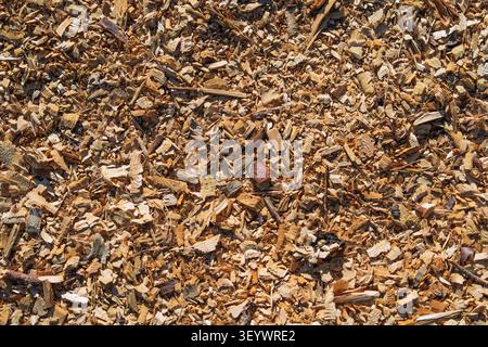 Natural Wood Chips Texture Background for Gardening Landscaping and Sustainable Biomass Fuel Stock Photo