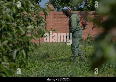 Worker wearing protective equipment while using a grass trimmer for lawn maintenance in a residential garden. The image represents professional landsc Stock Photo