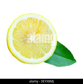 Front view of ripe yellow lemon fruit in single circle slice with its green leaf is isolated on white background with clipping path. Stock Photo
