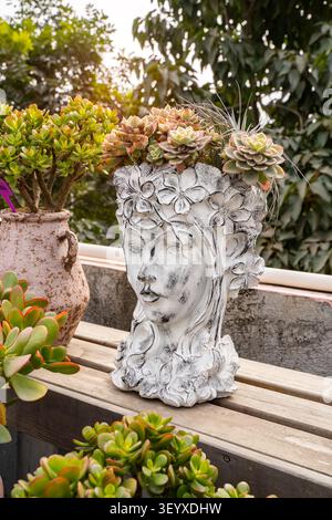 Miniature succulent plants (succulent cactus) in pots in the form of woman heads in the garden Stock Photo
