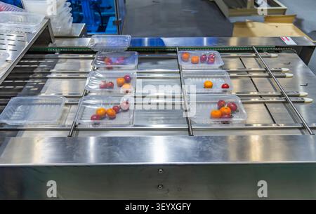 Automatic food flow wrapping machine.fruit on flow pillow packing machine. Stock Photo