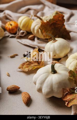 White pumpkins and autumn leaves on cozy fabric background.. Stock Photo