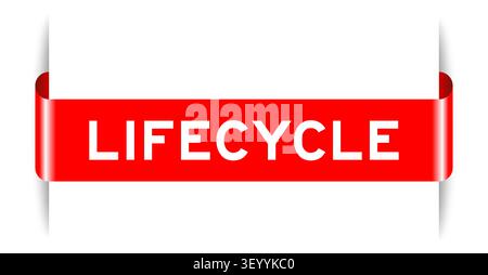Red color inserted label banner with word lifecycle on white background Stock Vector