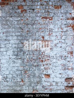 Aged brick wall covered in old whitewash peeling plaster Stock Photo
