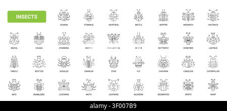 Decorative insect and bug symbols featuring beetles, butterflies, bees, moths and spiders for nature themes, labels, education and playful branding black line icons set vector illustration Stock Vector