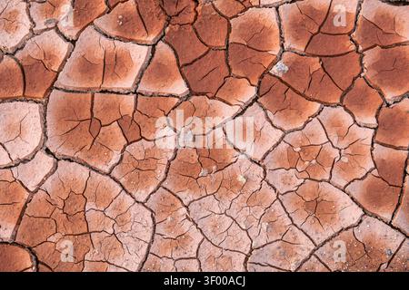 Close up of cracked dry soil texture with parched earth surface. Drought, climate change, water scarcity, desertification and environmental Stock Photo