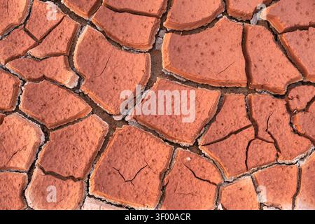 Detailed texture of cracked dry earth after prolonged drought. Natural pattern. Extreme heat, climate change, environmental stress, water shortage and Stock Photo