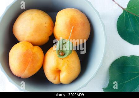 Four ripe apricots in a green bowl with a leaf on which a ladybug sits on a white background. Summer fruit concept. Minimalist composition. Still life Stock Photo