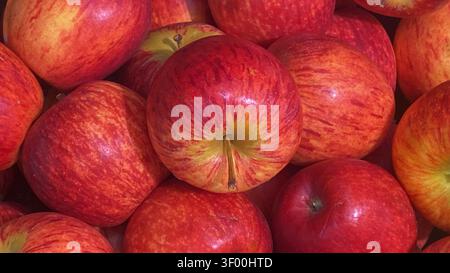 Fresh red apple with smooth skin and vibrant natural color, harvested and ready to eat. A healthy and nutritious fruit Stock Photo
