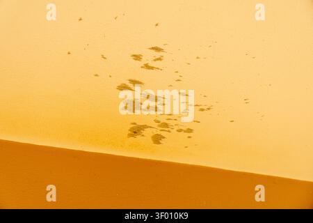 An abstract close-up view of a textured yellow surface with scattered dark marks and a distinct shadow line creating a unique pattern Stock Photo