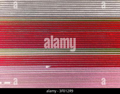 Abstract horizontal stripes in shades of red, pink, and muted gray with grainy noise texture, creating a retro background pattern ideal for design, pr Stock Photo