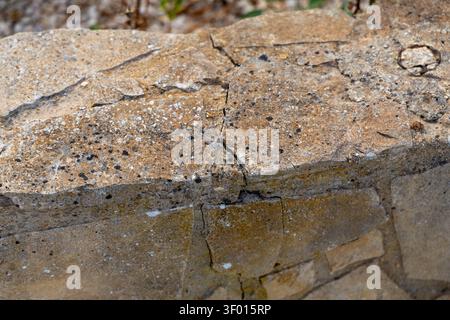 Detailed view of a rough, layered sandstone surface showing granular texture, dark speckles, and fractured lines Stock Photo