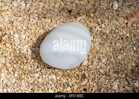 A single, opaque white object resembling an egg sits on a textured surface of light brown and beige pebbles Stock Photo