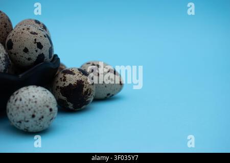 Fresh quail eggs on blue background in various minimalist food compositions Stock Photo