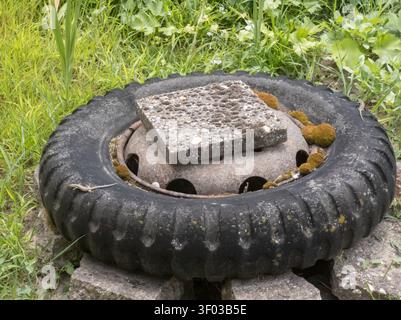Two common wall lizards resting on an old discarded tyre, Podarcis muralis reptiles sunbathing in an overgrown backyard. Stock Photo