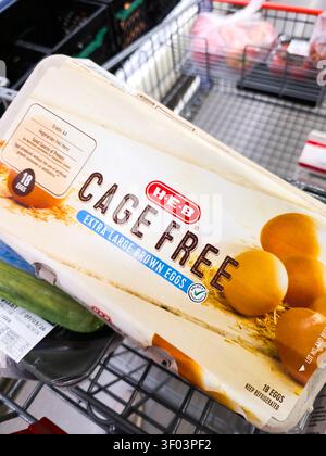 PLANO, TX, USA - JULY 05, 2026: A carton of H-E-B Cage Free Extra Large Brown Eggs is placed inside a shopping cart in a grocery store. Vibrant packag Stock Photo