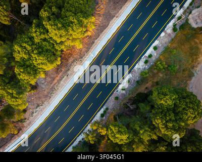 Top down aerial view of empty road through pine forest Stock Photo
