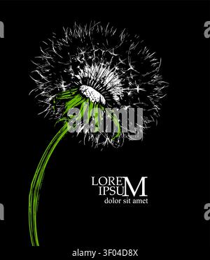 Dandelion on a black background. Hand drawn. Not AI, vector illustration. Stock Vector