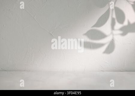 Leaf shadow on old plaster wall above empty surface for natural minimal mockup scene.. Stock Photo