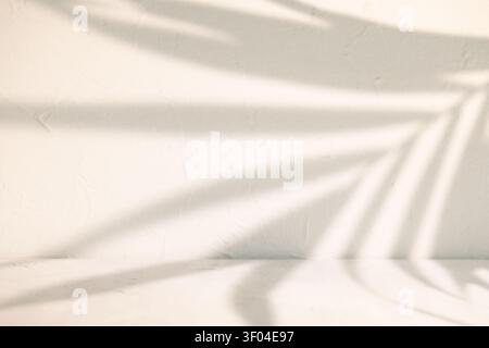 Soft shadow on old plaster wall creating empty mockup scene with bright minimal background Stock Photo