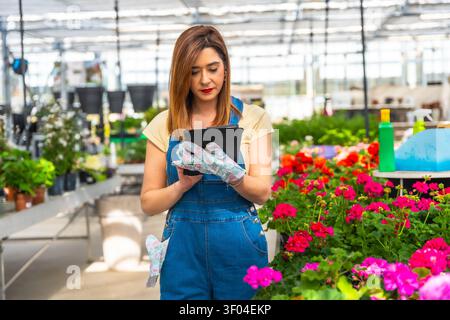Woman gardener checking plants using digital tablet in greenhouse Stock Photo