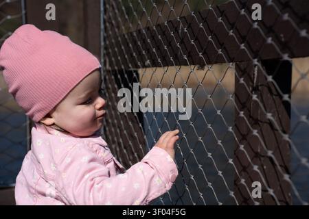 close-up of a toddler in a pink beanie and daisy-pattern jacket touching a chain-link fence on a wooden railing by calm water, soft sunlight and shado Stock Photo