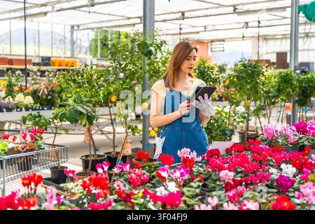 Woman gardener using tablet in large greenhouse nursery Stock Photo