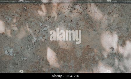 Weathered Grunge Surface with Abstract Leaf Shadows. Aged weathered surface with mottled gray and brown texture illuminated by soft irregular plant Stock Photo