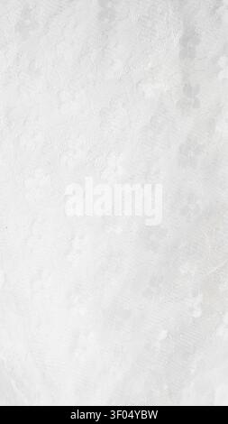 Delicate white floral lace fabric texture backdrop. Stock Photo