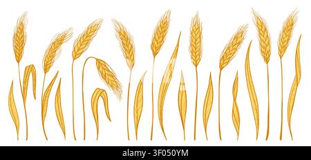 Golden wheat ear icon set. Cereal grain spikelet and stalk symbols for bakery, bread, beer logo and organic packaging label. Agriculture harvest farm design elements. Vector illustration Stock Vector