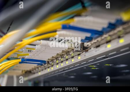 Multiple labeled white and yellow fiber optic cables with blue LC connectors inserted into numbered network switch ports with green LED indicators in Stock Photo