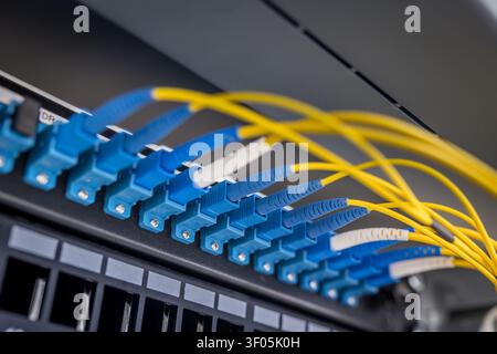 Close-up of blue LC duplex fiber optic connectors plugged into patch panel with yellow single-mode fiber cables routed through professional data Stock Photo