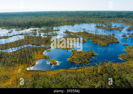 Aerial View of Cenas Bog Wetland with Lakes and Peatland Landscape in Latvia Stock Photo