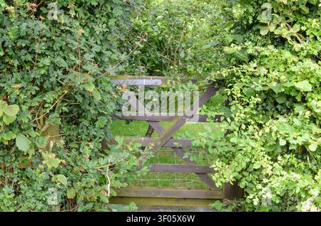 an old wooden five bar closed gate essex uk Stock Photo