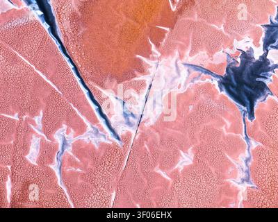 Fine art abstract texture with magical water veins flowing through marbled pink and indigo surfaces, full color and highly detailed, perfect for moder Stock Photo