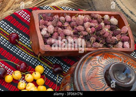 White and purple mulberries in a rustic ceramic tray with cherries on woven textile, creating an authentic Balkan summer fruit still life. Stock Photo
