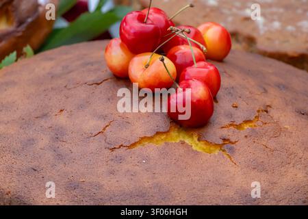 Close-up of homemade cherry sponge cake topped with fresh red and yellow cherries, highlighting cracked golden crust and rustic traditional baking sty Stock Photo