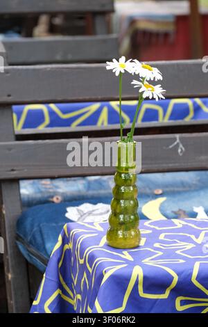 White daisy flowers in a green glass bottle on a colorful table at an outdoor cafe terrace creating a cozy summer dining atmosphere. Stock Photo