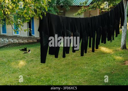 Two cats relaxing on green grass at a peaceful outdoor campsite. Blurred wetsuits hanging in the background create a cozy adventure camp atmosphere. Stock Photo