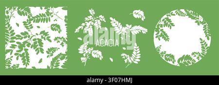 Set Acacia tree branches and leaves seamless pattern Hand drawn. Not AI, vector illustration. Stock Vector