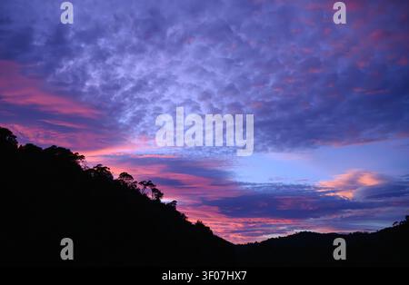 Sunrise over the Pieman River at Corinna, Tasmania, Australia. Stock Photo