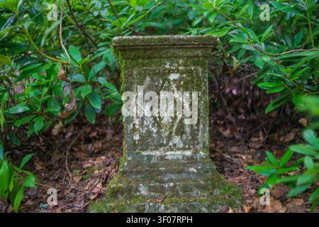 A weathered stone pedestal or ancient ruin heavily covered in green moss, standing amidst dense foliage and dry leaves in a thick woodland. Stock Photo