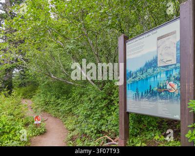 Wooden information board for Bench Lake and Snow Lake Trail stands beside a dirt hiking path surrounded by lush green trees in Washington state. Stock Photo