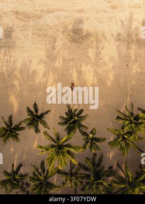 Aerial view of a person relaxing on the sandy beach surrounded by lush palm trees casting long shadows in Vietnam. Stock Photo