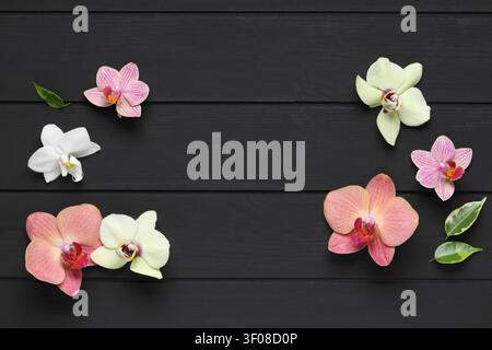 Orchid flowers and leaves on black wooden background Stock Photo