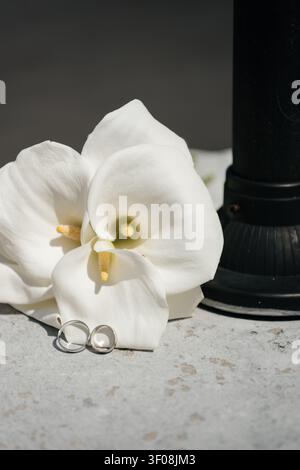 A high-quality close-up shot featuring a pair of silver wedding bands placed elegantly next to a fresh, white calla lily on a textured surface. Stock Photo