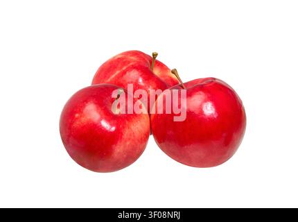 Red Apples Isolated on a white background,  with clipping path. Stock Photo