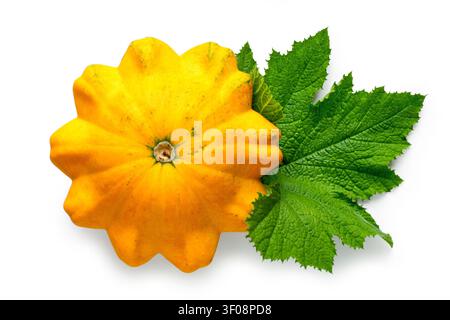 Yellow squash with leaves isolated on a white background. Vegetable natural squash view from above. Stock Photo