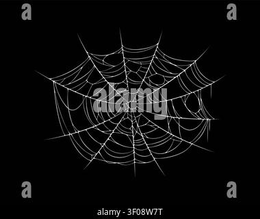 Halloween cobweb spiderweb with stretched threads Stock Vector