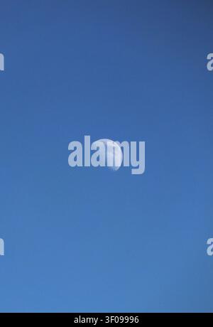 Half moon visible in a clear blue daytime sky above Lardy, Ile de France, France Stock Photo